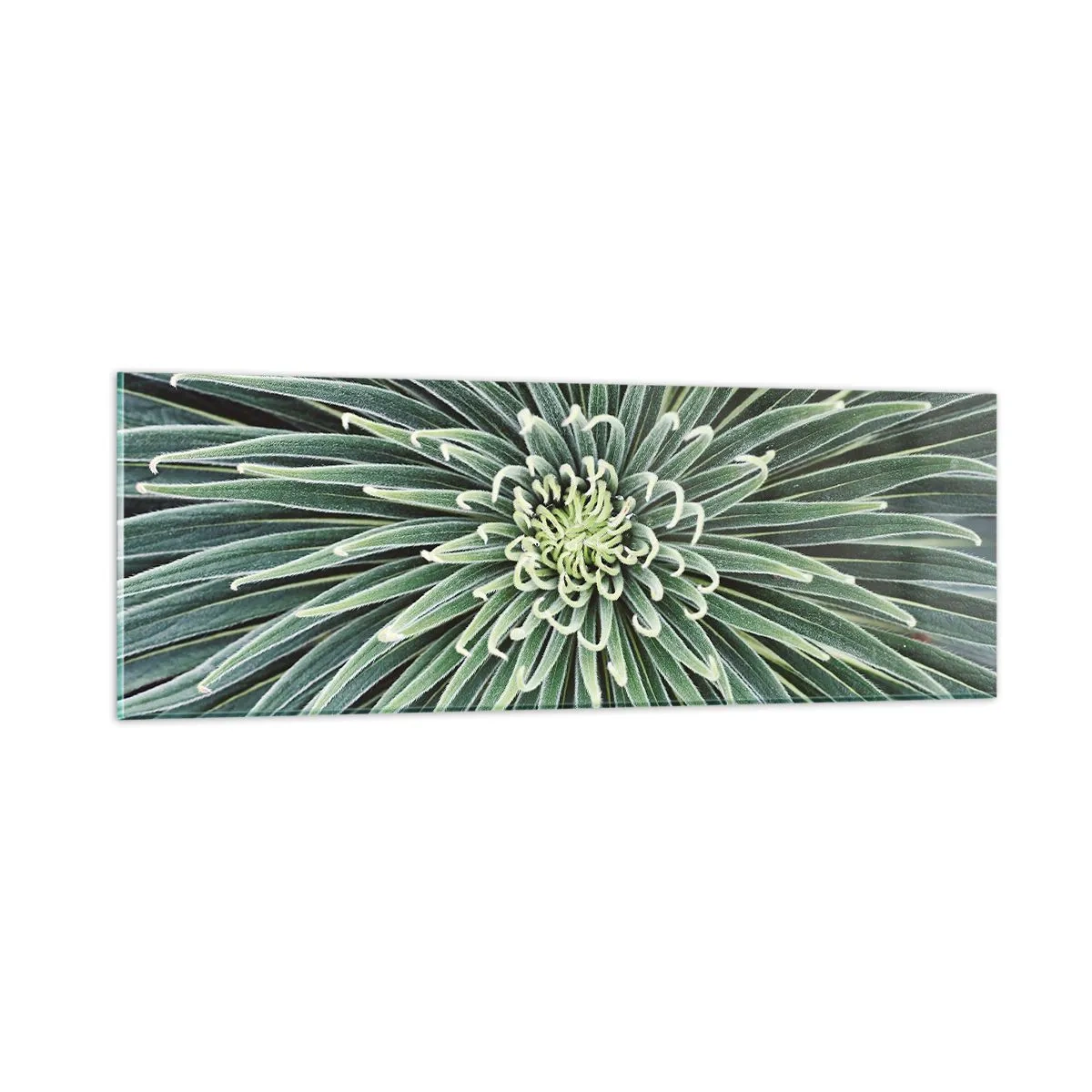 Üveg kép - Csillag születik - 90x30 cm