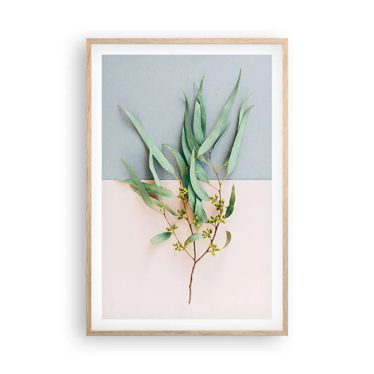 Poszter világos tölgy keretben - Pasztell finomság - 61x91 cm