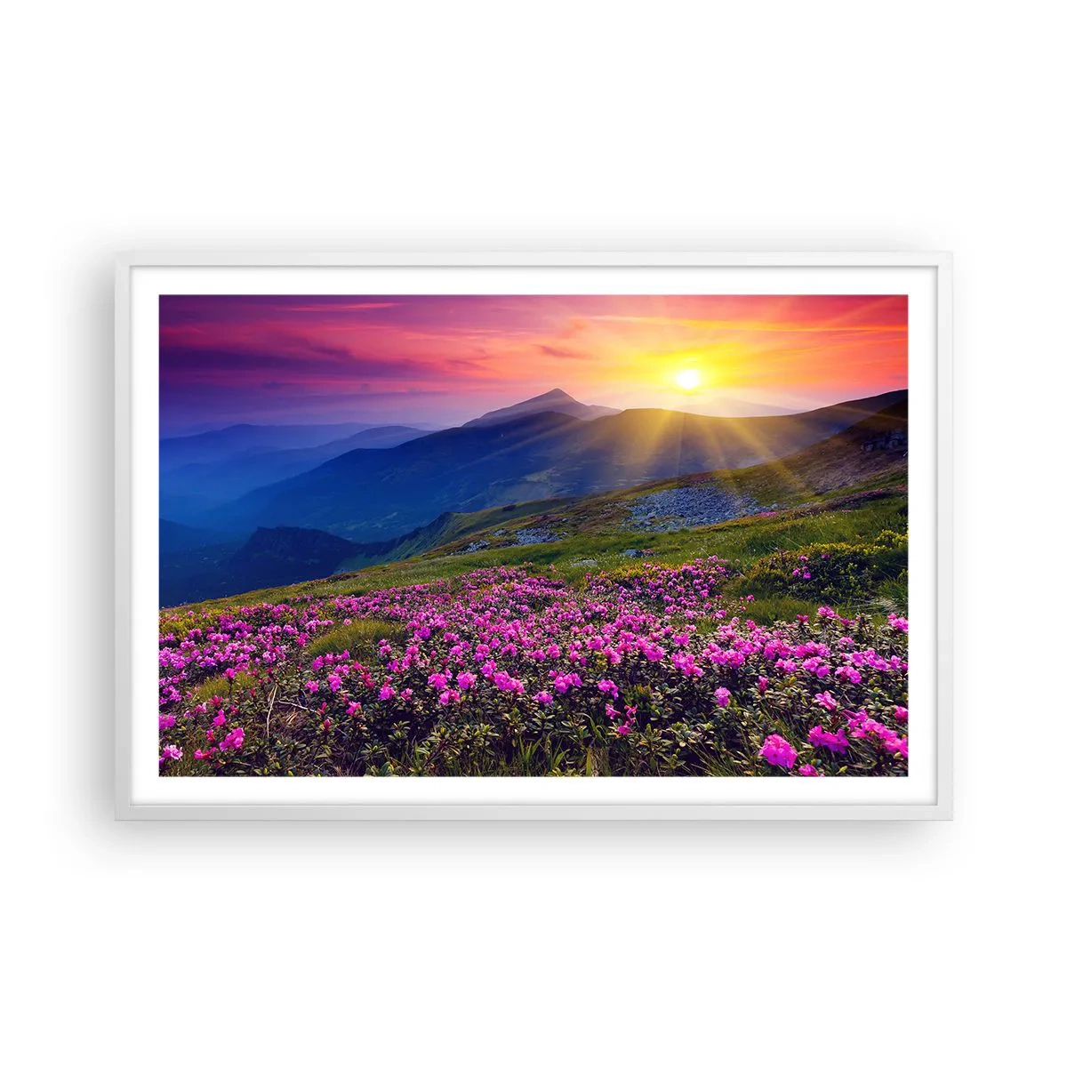 Poszter fekete keretben - … És körülötte hegyi fenyő és gyógynövények illata - 91x61 cm