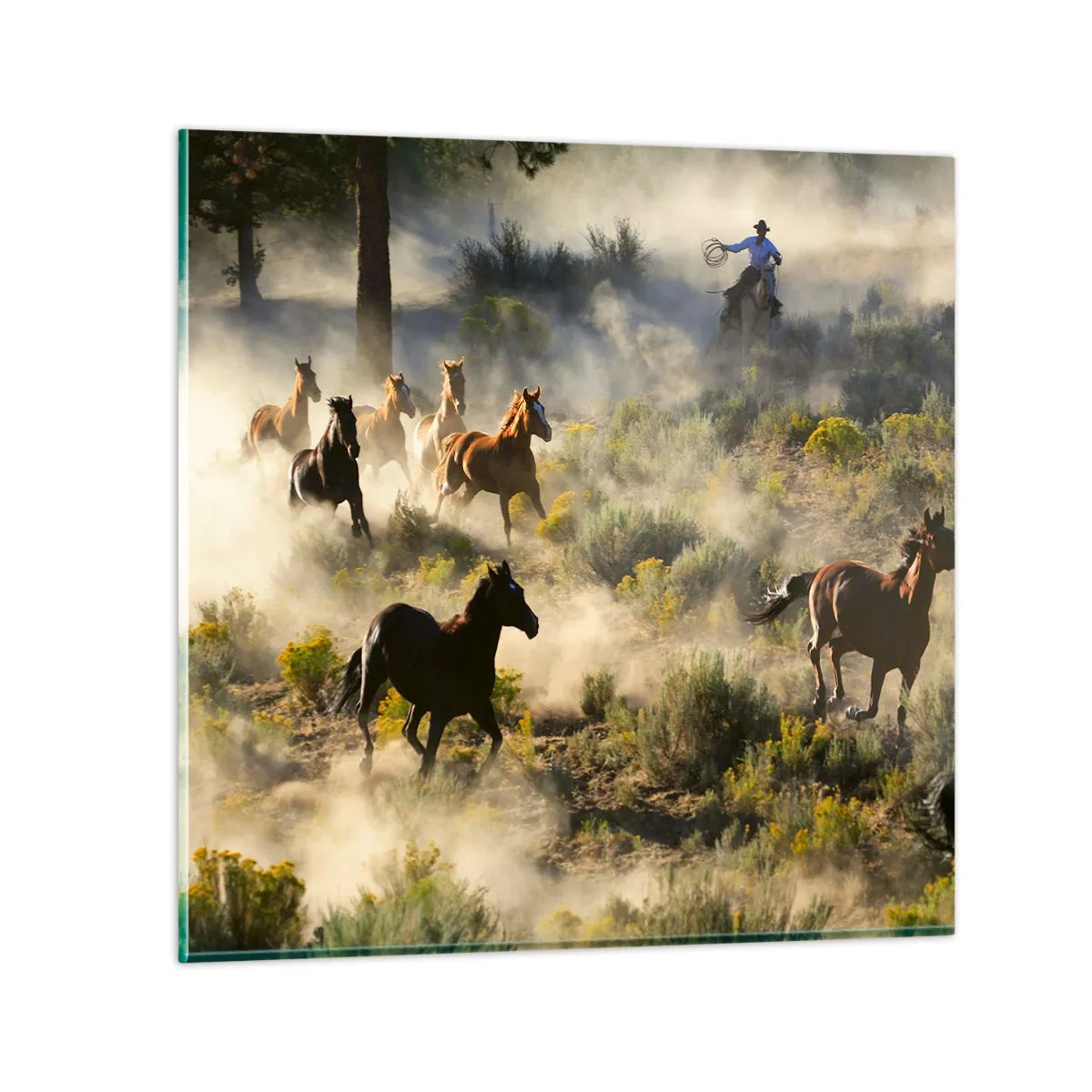 Üveg kép - Rivalizálás – szabadság, vagy férfierő? - 70x70 cm