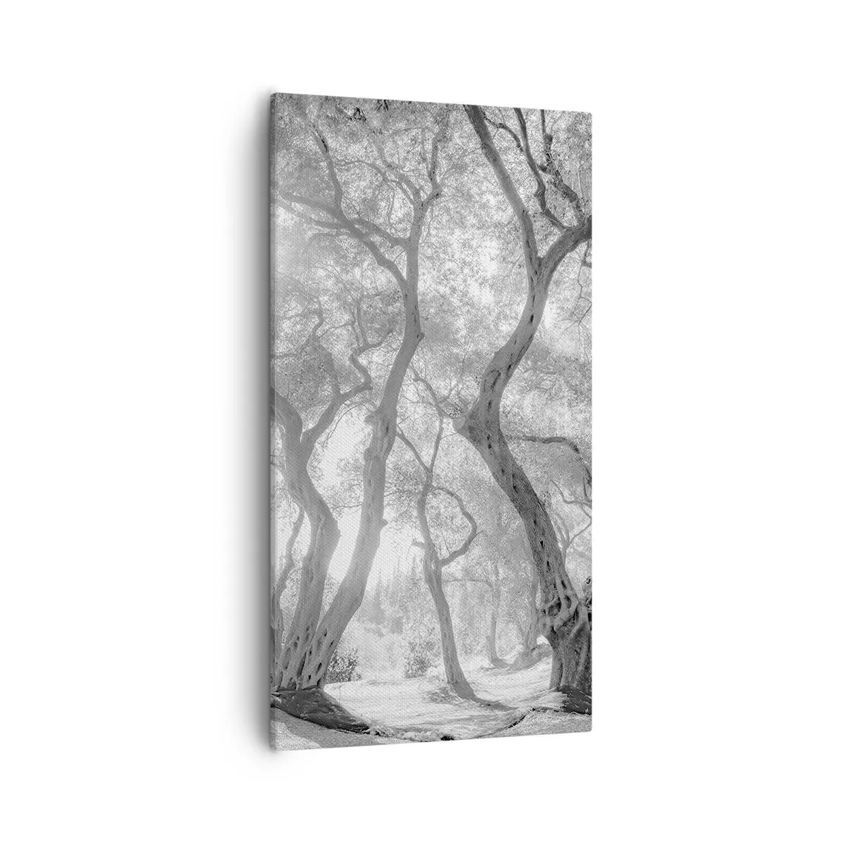 Vászonkép - Egy olajfaligetben - 55x100 cm