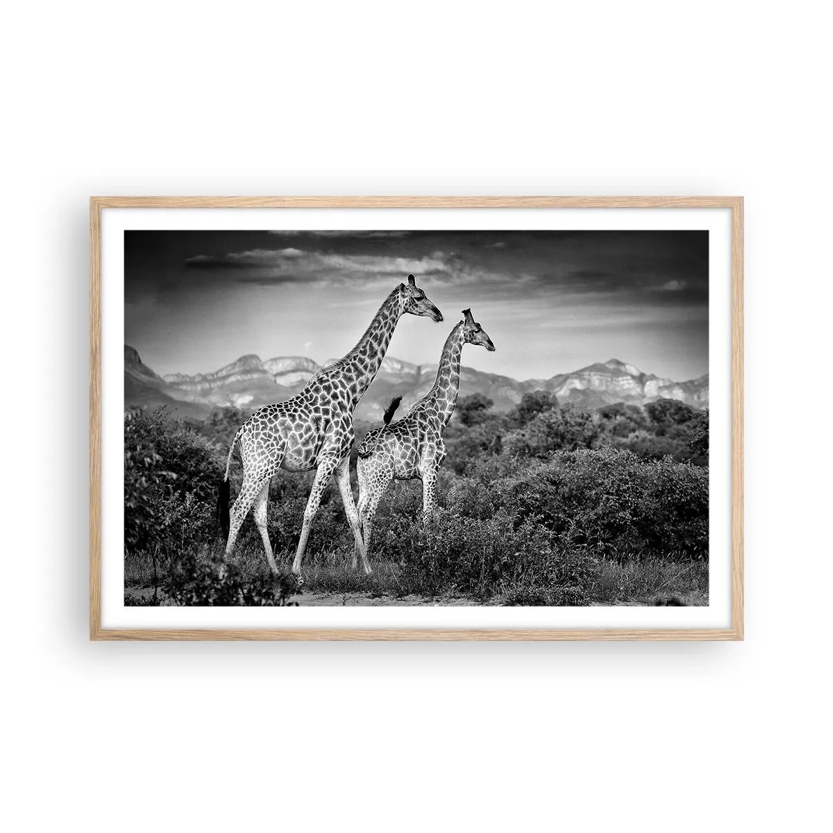 Poszter világos tölgy keretben - Magas rangok Afrikában - 91x61 cm