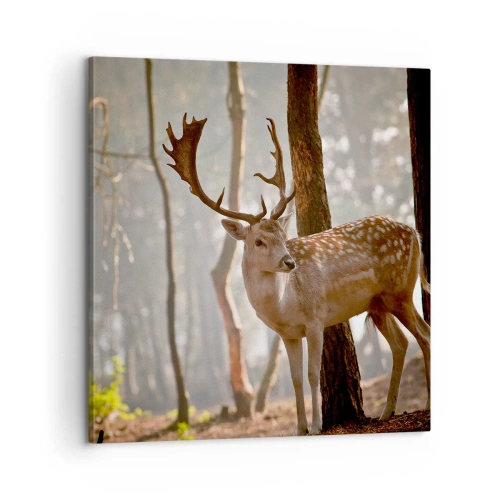 Vászonkép - A fiatalság fénye - 60x60 cm