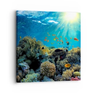 Vászonkép - Víz alatti kincsek - 30x30 cm