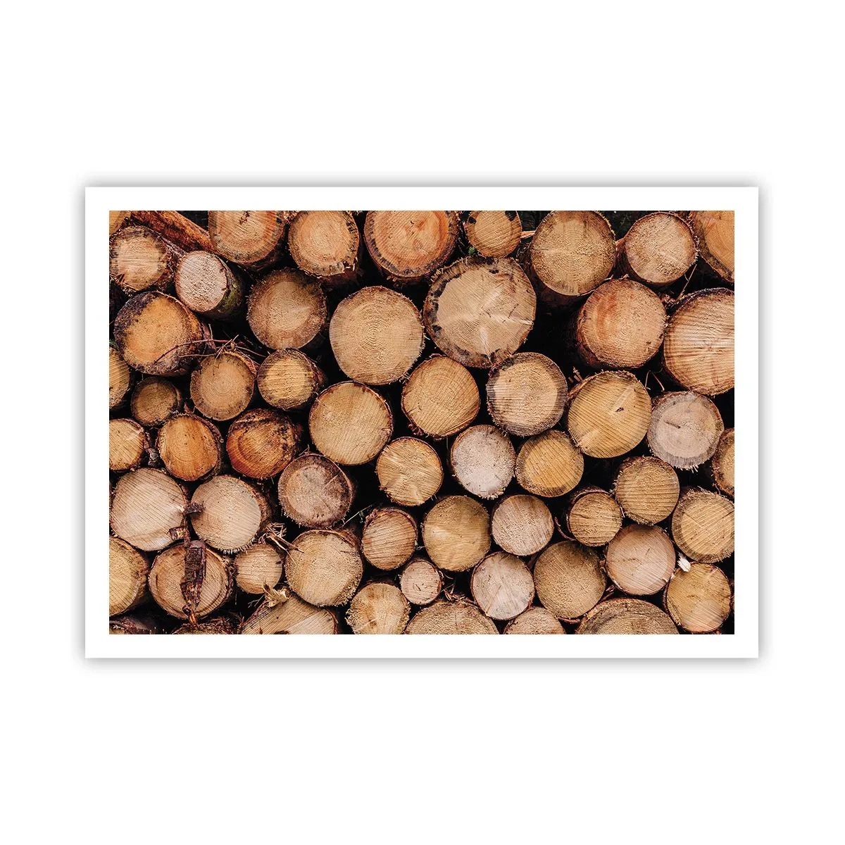 Poszter - Egy új kezdet - 100x70 cm