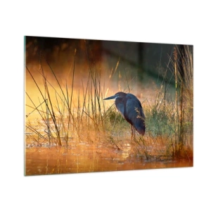 Üveg kép - Hagyjatok békén ezekkel a fotókkal - 100x70 cm