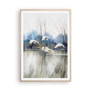 Poszter világos tölgy keretben - Mint a vadhattyúkról szóló mesében - 70x100 cm