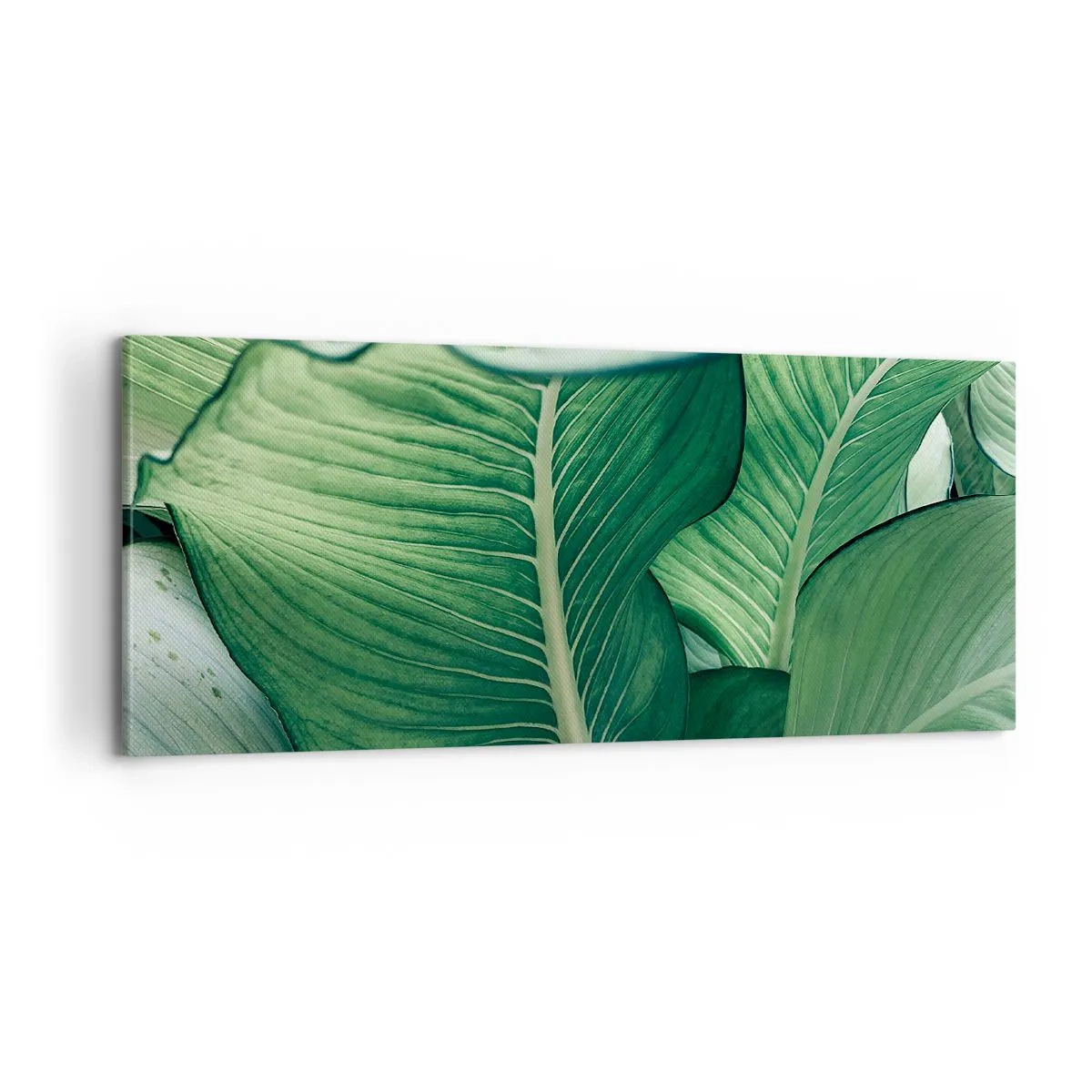 Vászonkép - Intenzíven zöld élet - 100x40 cm