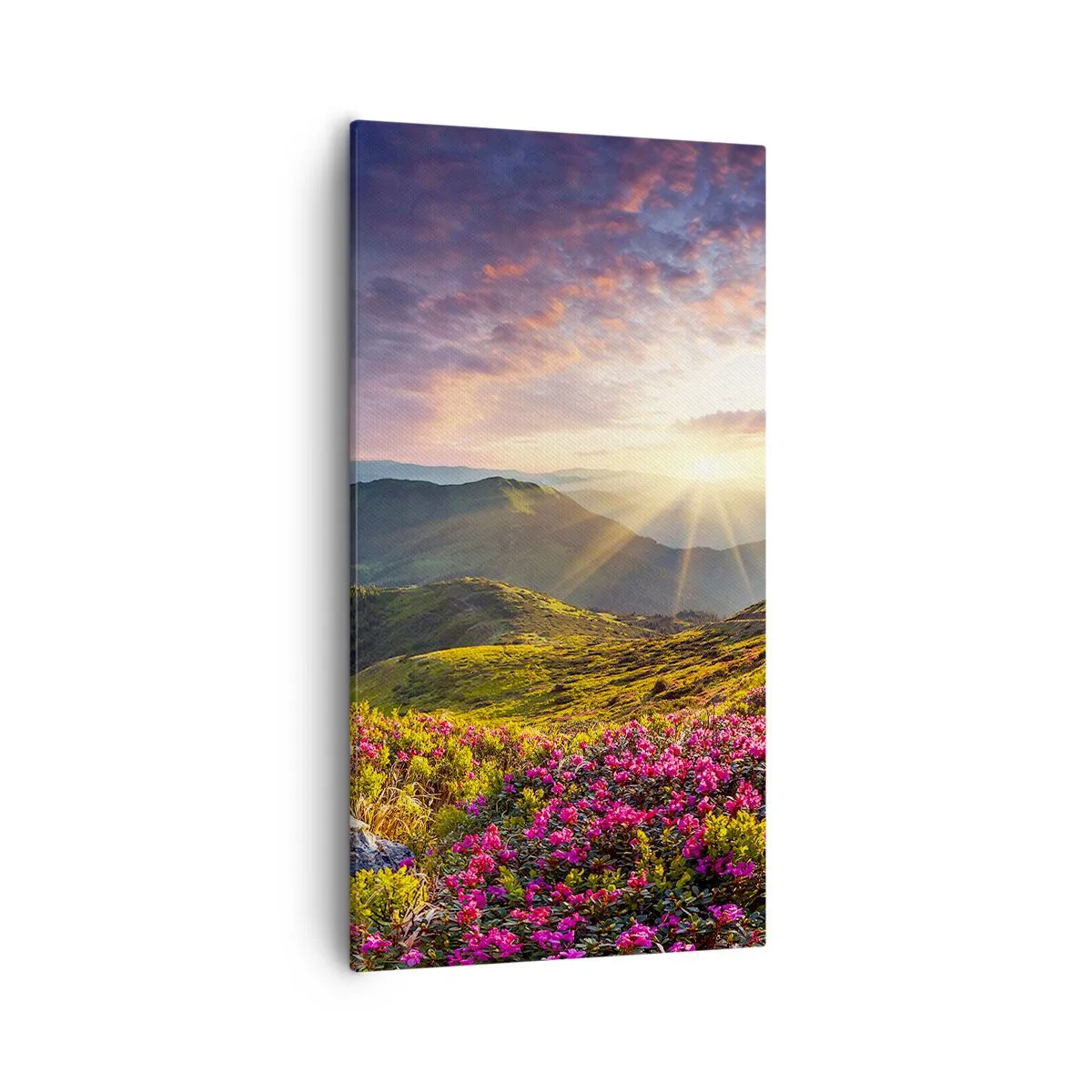 Vászonkép - A Hegyi reggeli frissesség - 55x100 cm