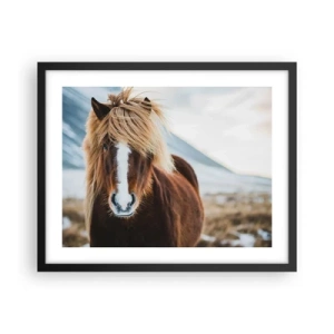 Poszter fehér keretben - Érzed a szabadságot? - 50x40 cm