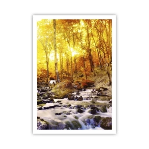 Poszter - Kövek aranyba és platinába - 70x100 cm