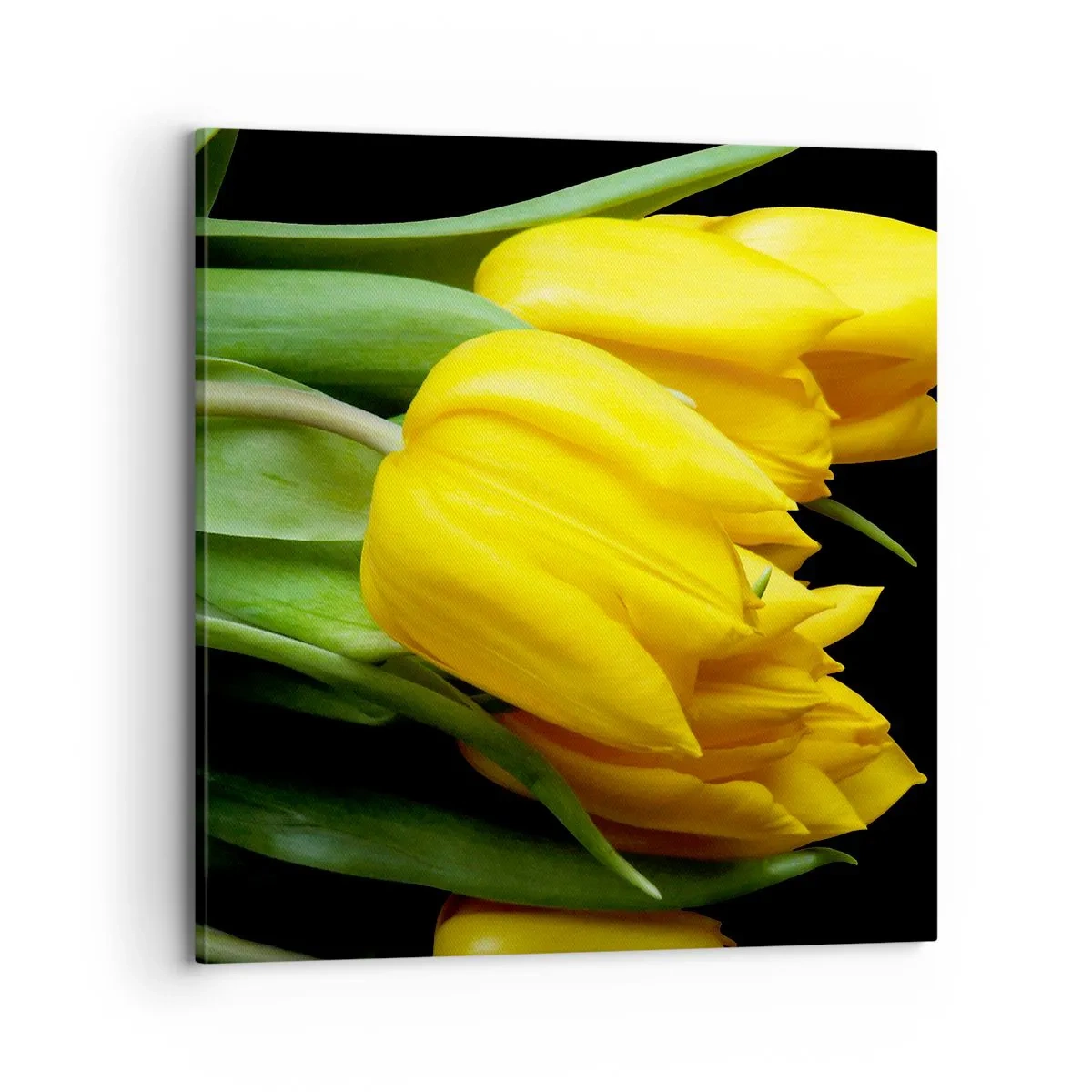 Vászonkép - Tiszta napból készült - 70x70 cm