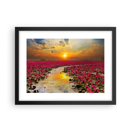 Poszter fehér keretben - A tó titokzatos élete - 40x30 cm