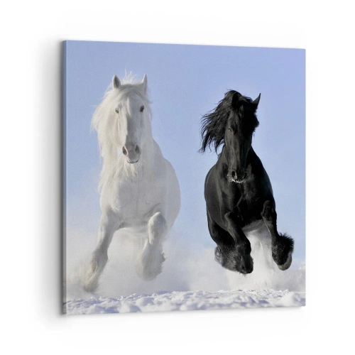 Vászonkép - Fekete-fehér galopp - 60x60 cm