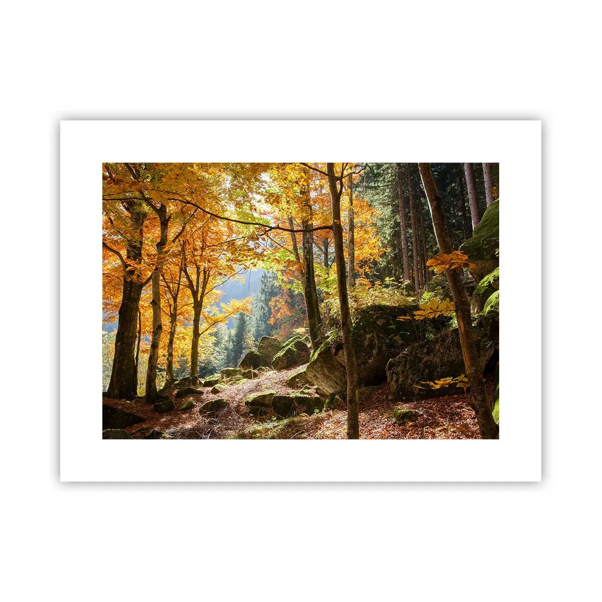 Poszter - Itt az ideje a pihenésnek - 40x30 cm