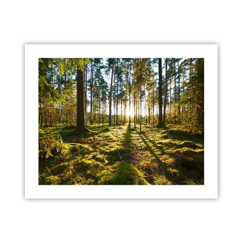 Poszter - … A hét erdőn túl - 50x40 cm