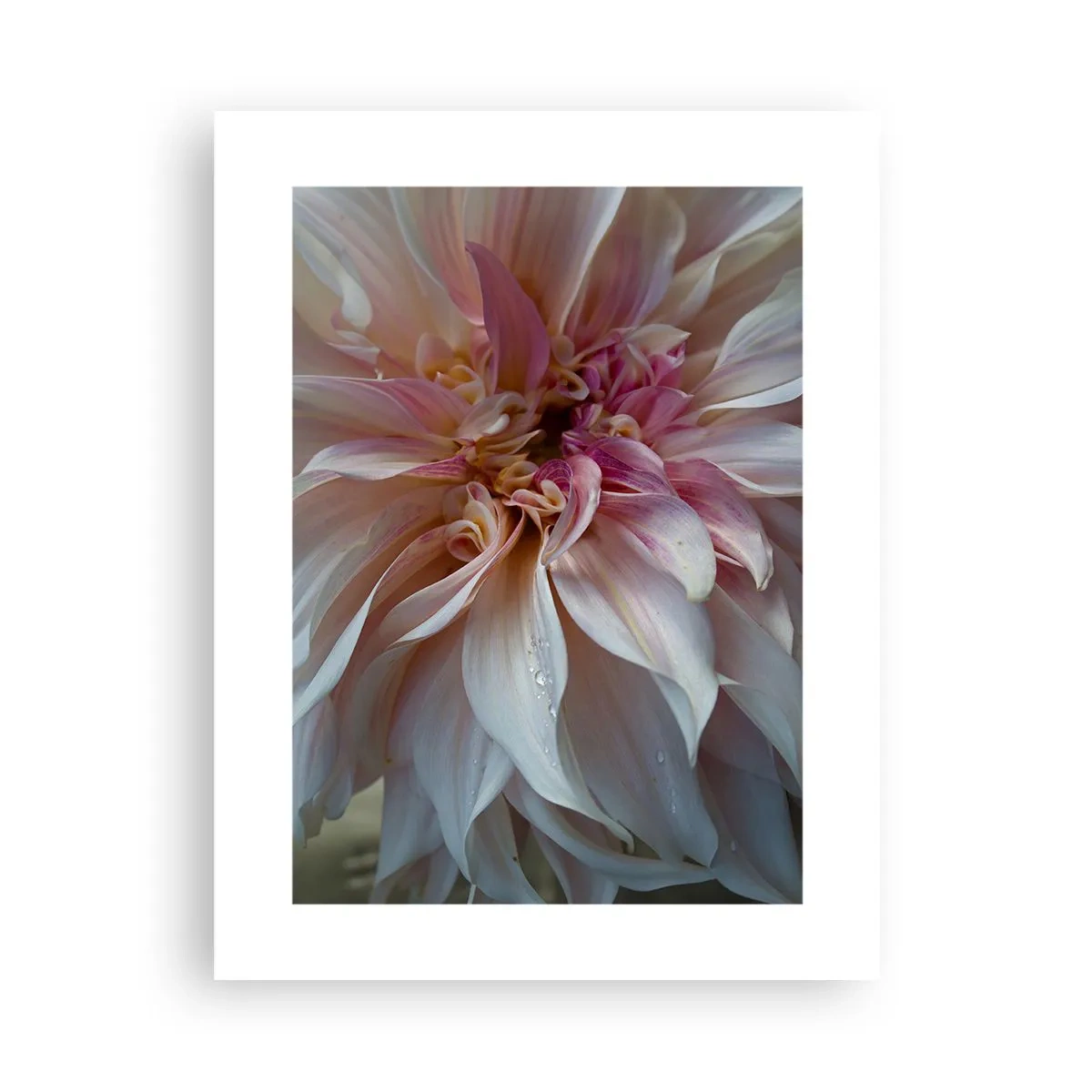 Poszter - Virágzó frissesség - 30x40 cm