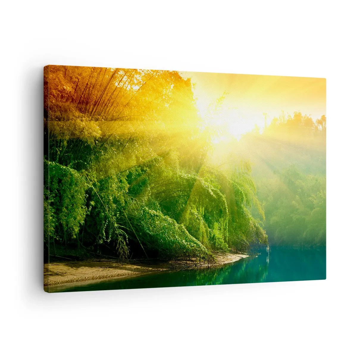 Vászonkép - Zöld erdő a folyóparton, a felkelő nap sugaraitól megvilágítva - 70x50cm - Elmerülni a napban és az árnyékban - Modern fali dekoráció nappalihoz és hálószobához ARTTOR