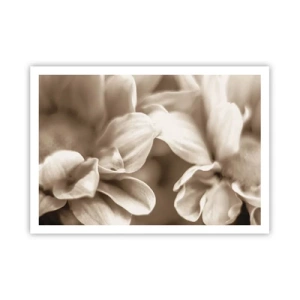 Poszter - Gyengéd, mint egy mosoly - 100x70 cm