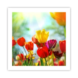 Poszter - A nap minden színe - 50x50 cm