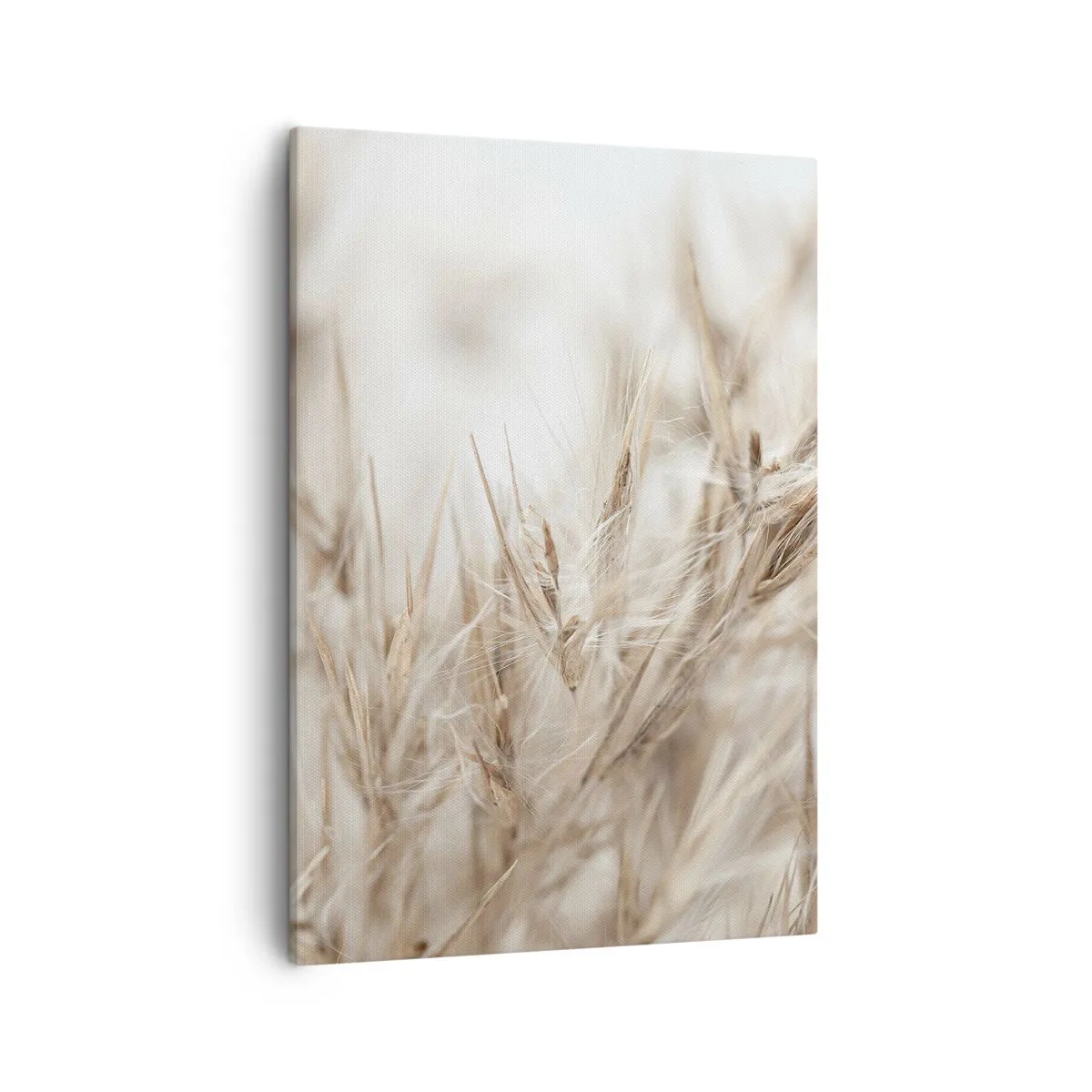 Vászonkép - Mező és szél - 50x70 cm