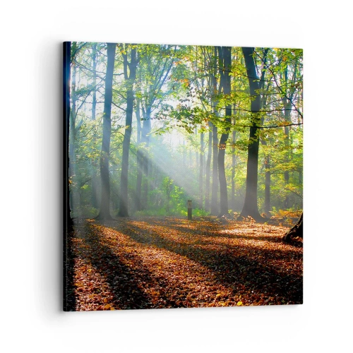 Vászonkép - Ragyogások és árnyékok - 70x70 cm