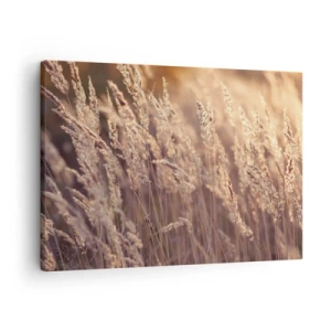 Vászonkép - Aranyló füvek a lenyugvó nap hátterében - 70x50cm - Készen az ősz fogadására - Modern fali dekoráció nappalihoz és hálószobához ARTTOR