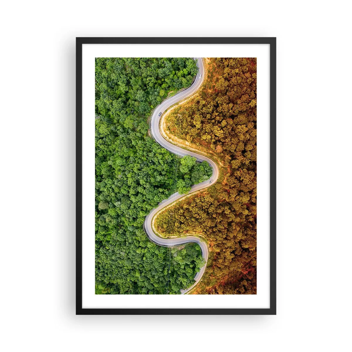 Poszter fehér keretben - Egy erdőn át kanyargó út, amely zöld és őszi részekre oszlik - 50x70cm - Határok és áttörések - Modern fali dekoráció nappalihoz és hálószobához ARTTOR