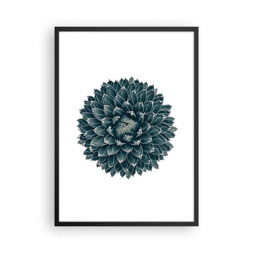 Poszter fehér keretben - Egy pozsgás növény részlete szimmetrikus levélelrendezéssel - 50x70cm - A sivatag csillaga - Modern fali dekoráció nappalihoz és hálószobához ARTTOR