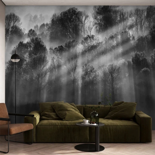 Fotótapéta Premium Sand - Fénypatakokban - Tájkép, Erdő, Fekete és fehér - 100x70 cm