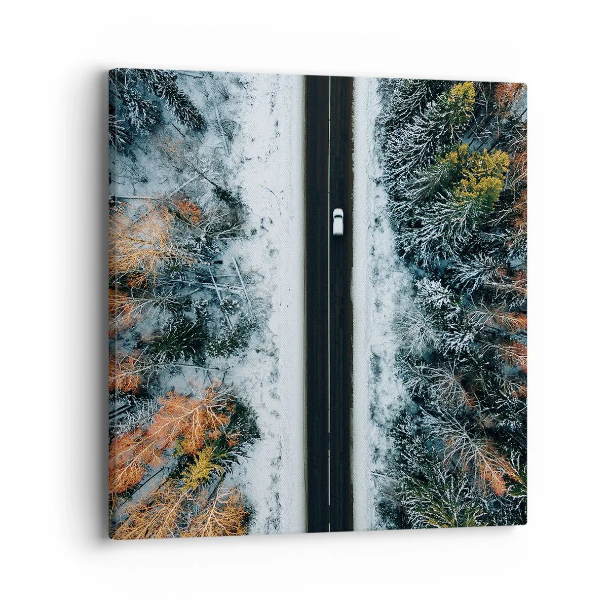 Vászonkép - Átvágni a téli erdőn - 40x40 cm