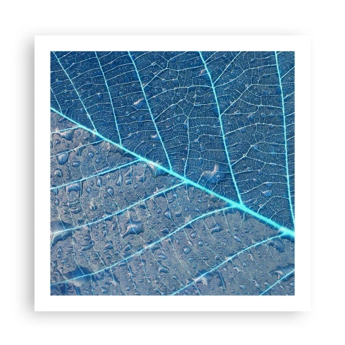 Poszter - Az élet kékben - 60x60 cm