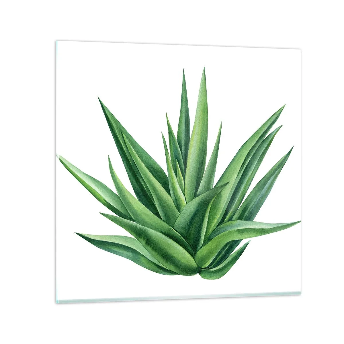 Üveg kép - Zöld - erő - élet - 70x70 cm