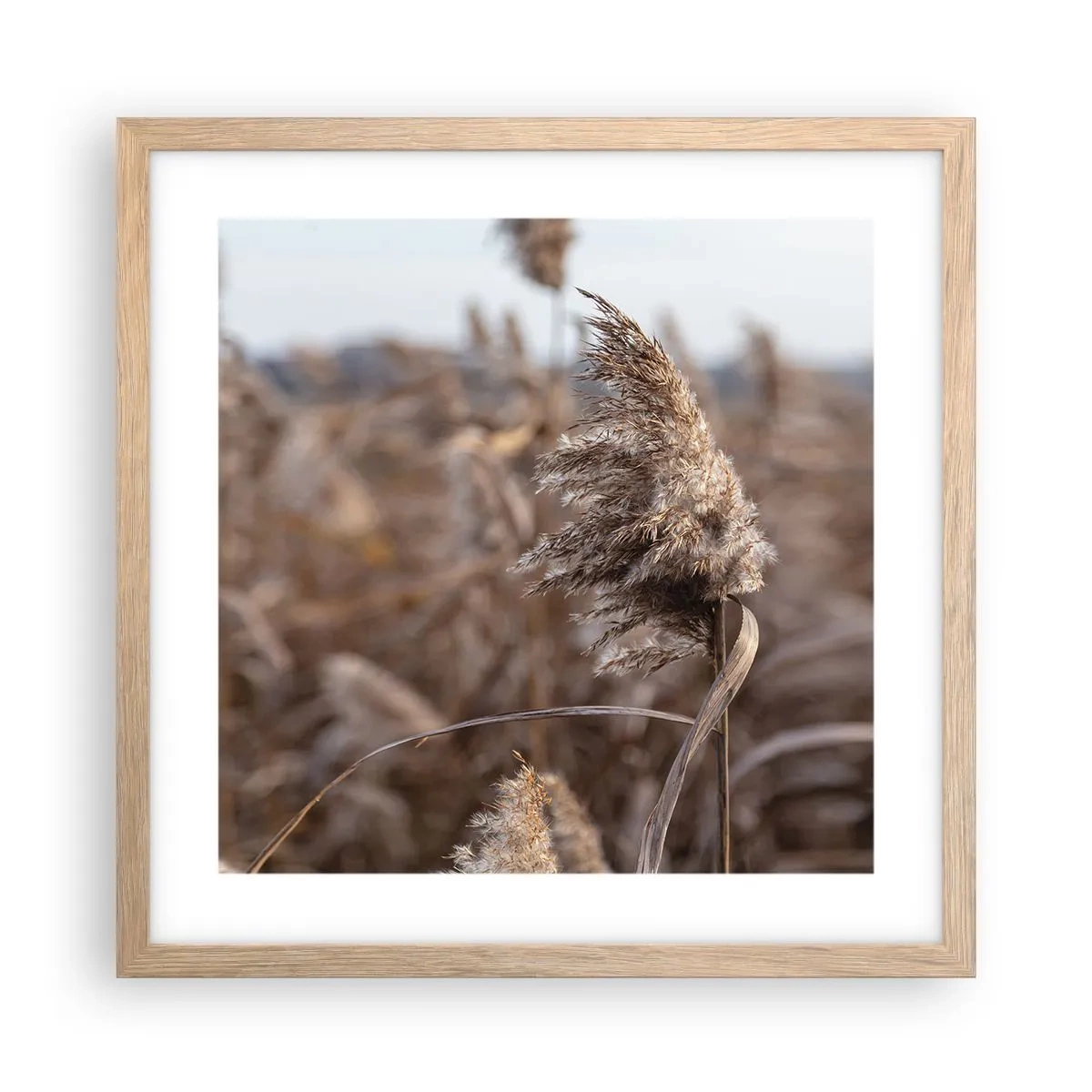 Poszter világos tölgy keretben - Ideje elrepülni a széllel - 40x40 cm