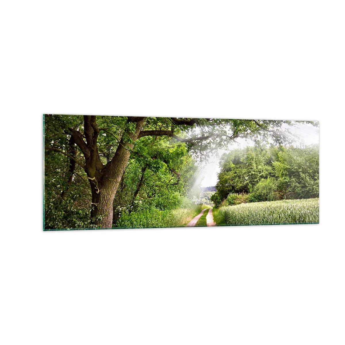 Üveg kép - Et in Arcadia ego - 140x50 cm