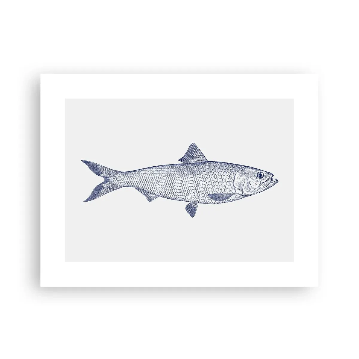 Poszter - Üdvözlet az északi tengerektől - 40x30 cm