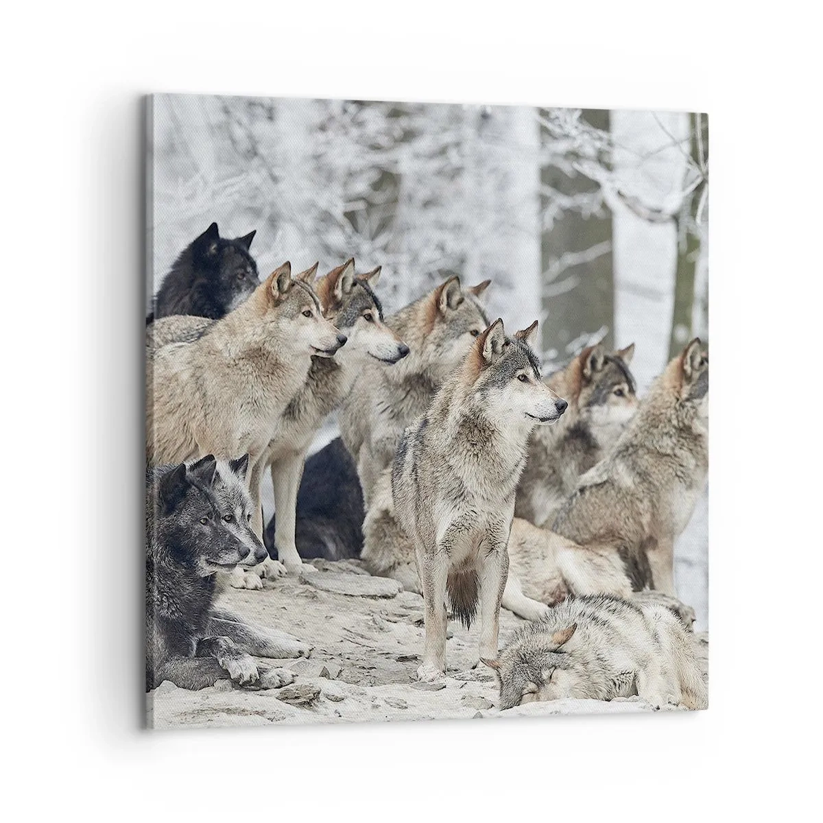 Vászonkép - Család és barátok - 60x60 cm