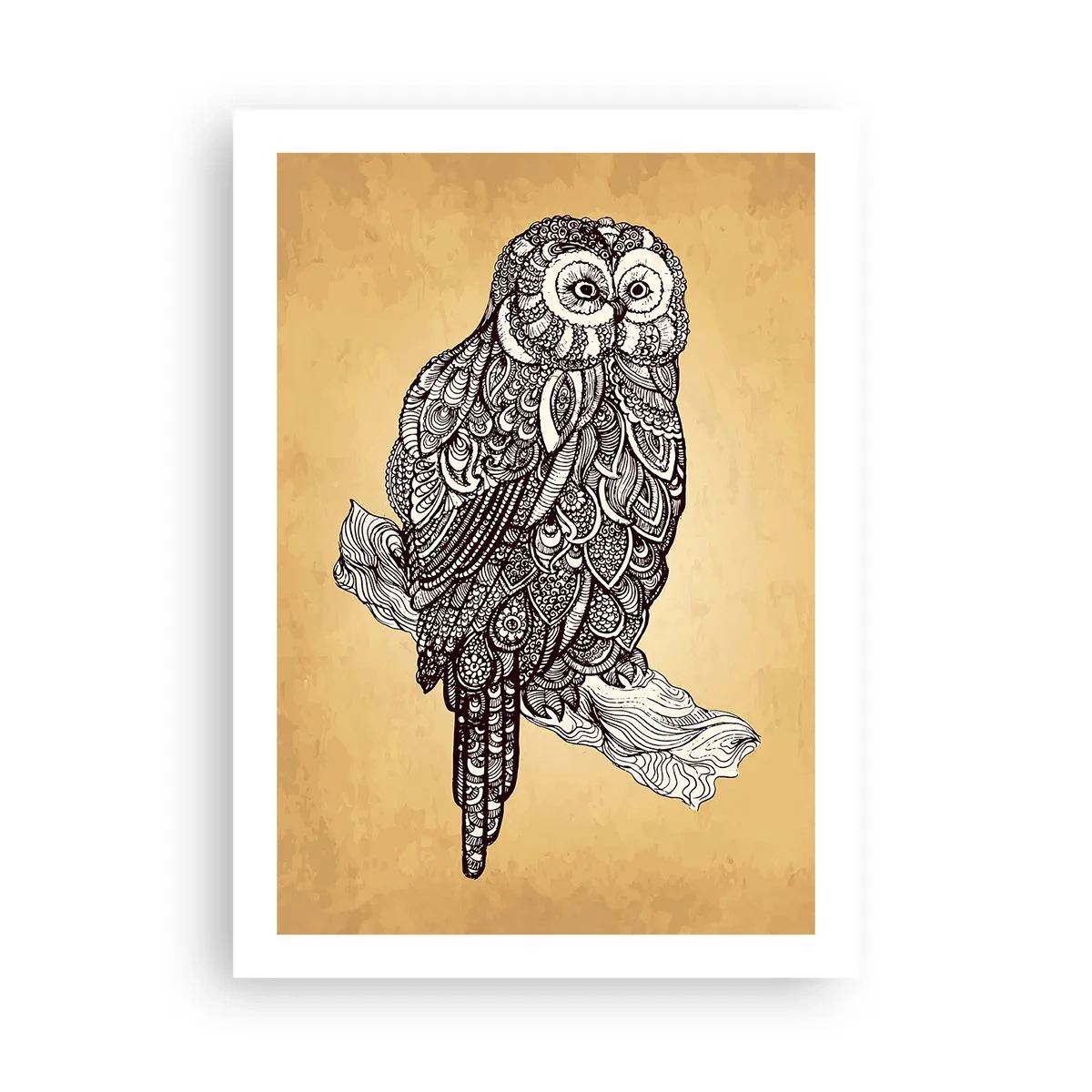 Poszter - A bölcsesség bonyolult díszei - 50x70 cm