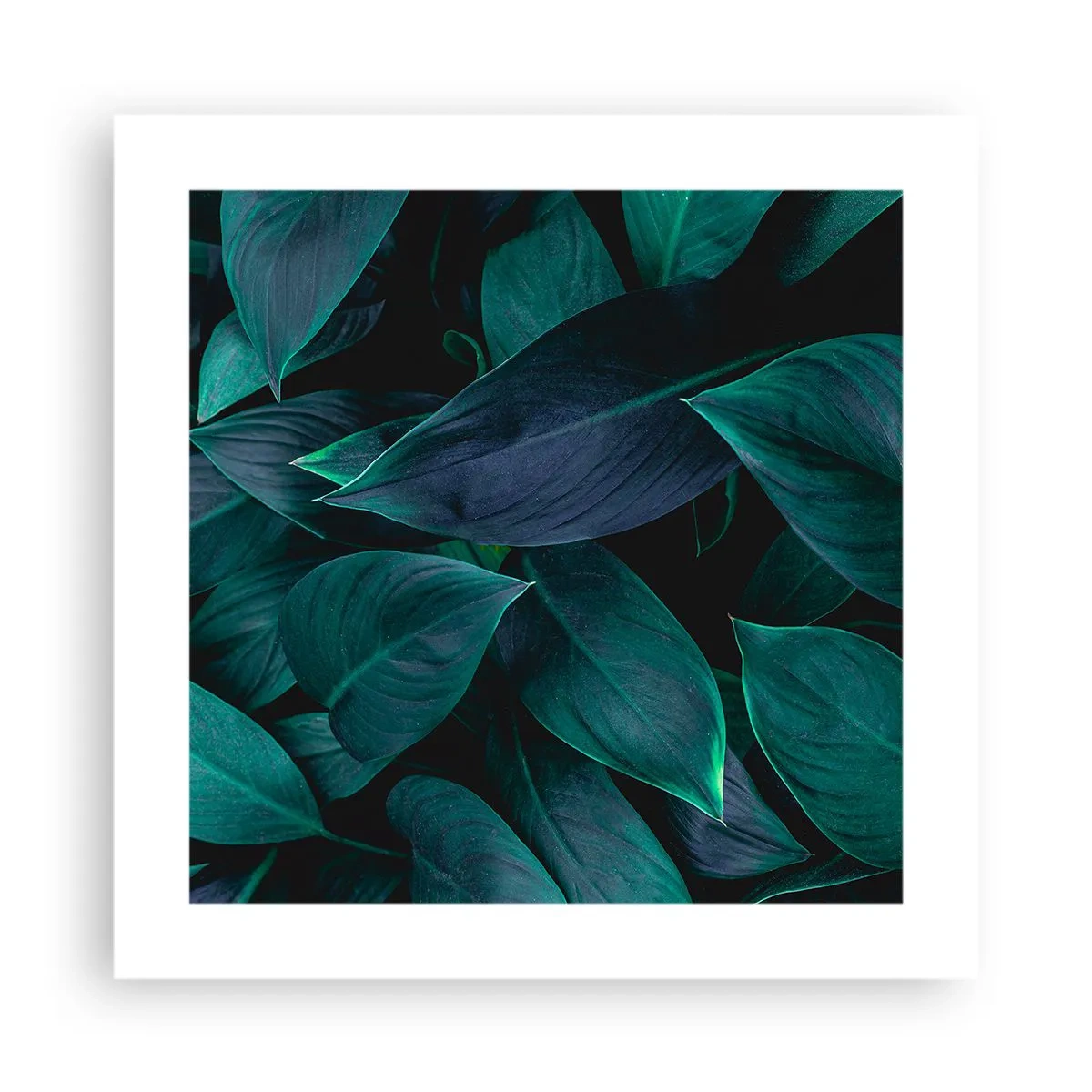 Poszter - Maga a zöldellő növényzet - 40x40 cm