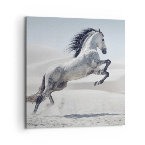 Vászonkép - arab herceg - 50x50 cm