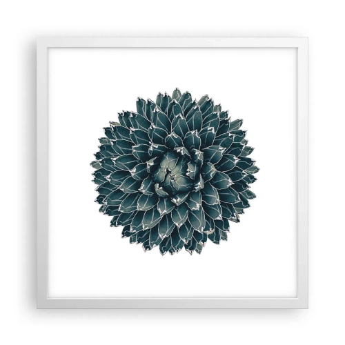 Poszter fekete keretben - A sivatag csillaga - 40x40 cm