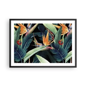 Poszter fehér keretben - A trópusok lángoló virágai - 70x50 cm