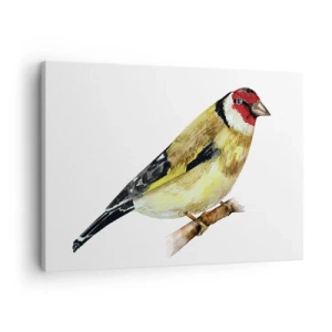 Vászonkép - Egy vörös fejű madár egy ágon - 70x50cm - Madárportré - Modern fali dekoráció nappalihoz és hálószobához ARTTOR