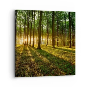 Vászonkép - Minden tavasz fotója - 30x30 cm