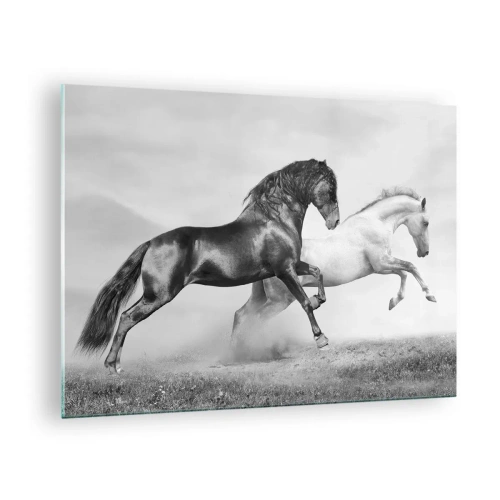 Üveg kép - Fekete és fehér lovak dinamikus környezetben - 70x50cm - Angyalok és démonok - Modern fali dekoráció nappalihoz és hálószobához ARTTOR