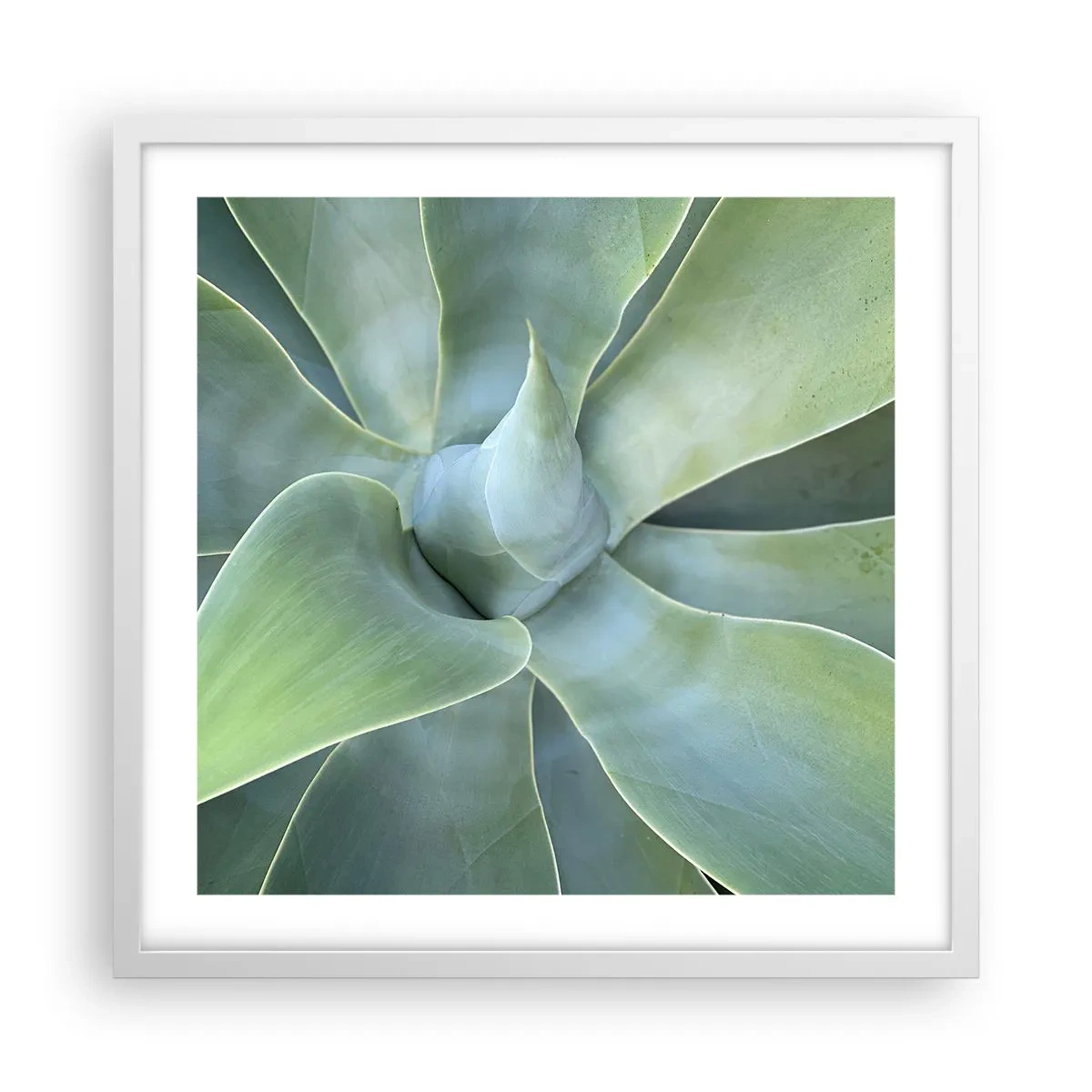 Poszter fekete keretben - A zöld születése - 50x50 cm