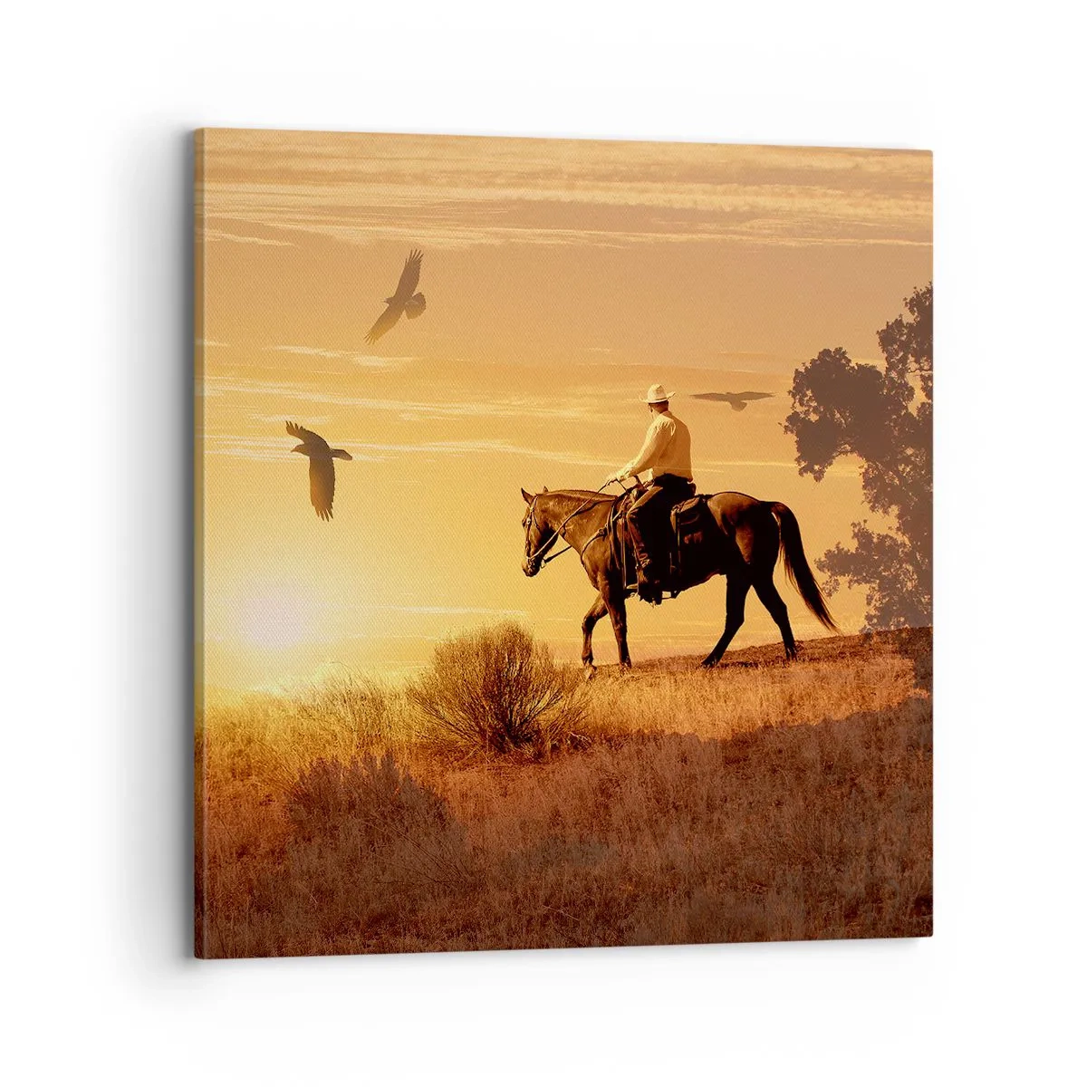 Vászonkép - Egyedül a prérin keresztül - 70x70 cm