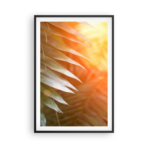 Poszter fehér keretben - Reggel a dzsungelben - 61x91 cm