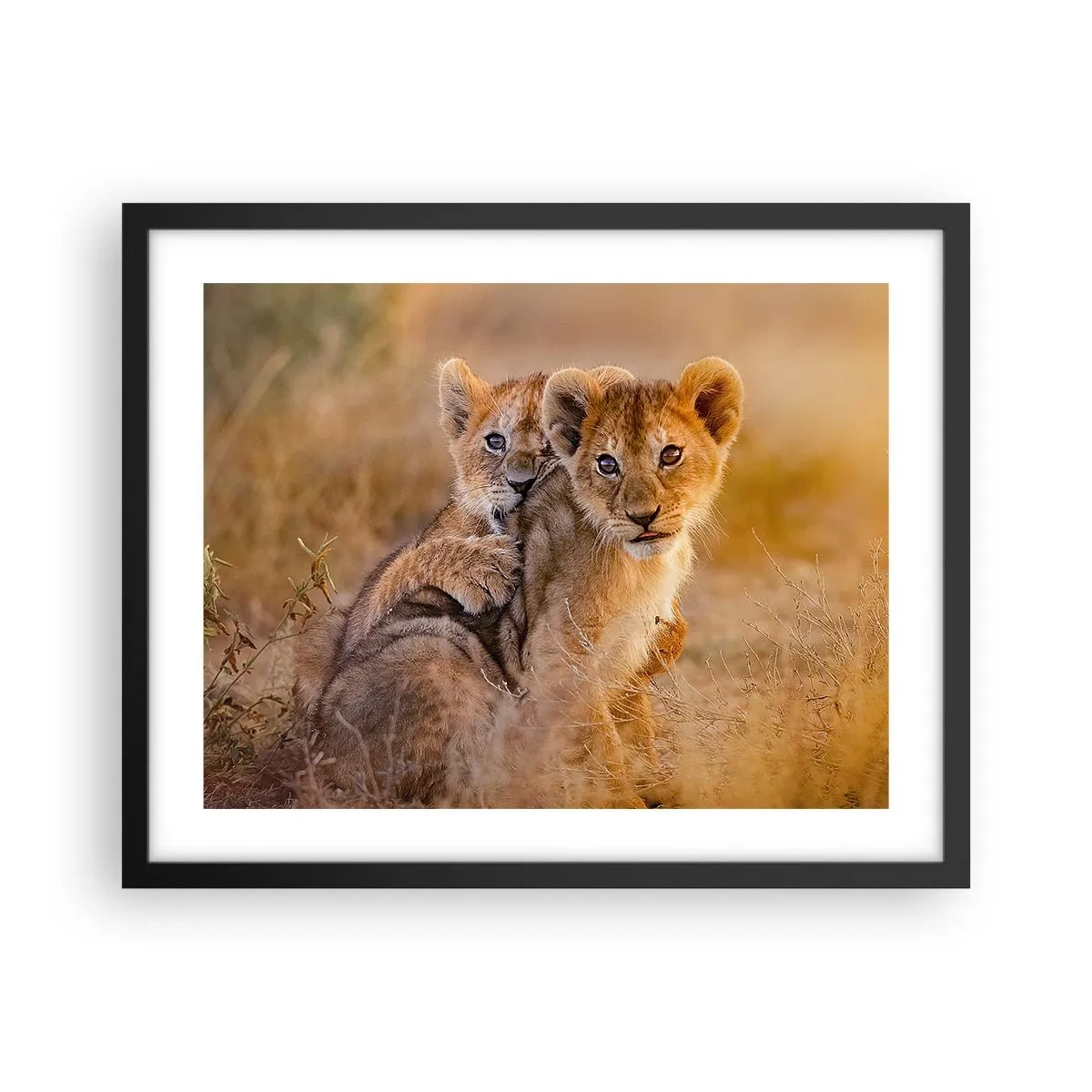 Poszter fehér keretben - Ne zavarni! Szórakozunk - 50x40 cm