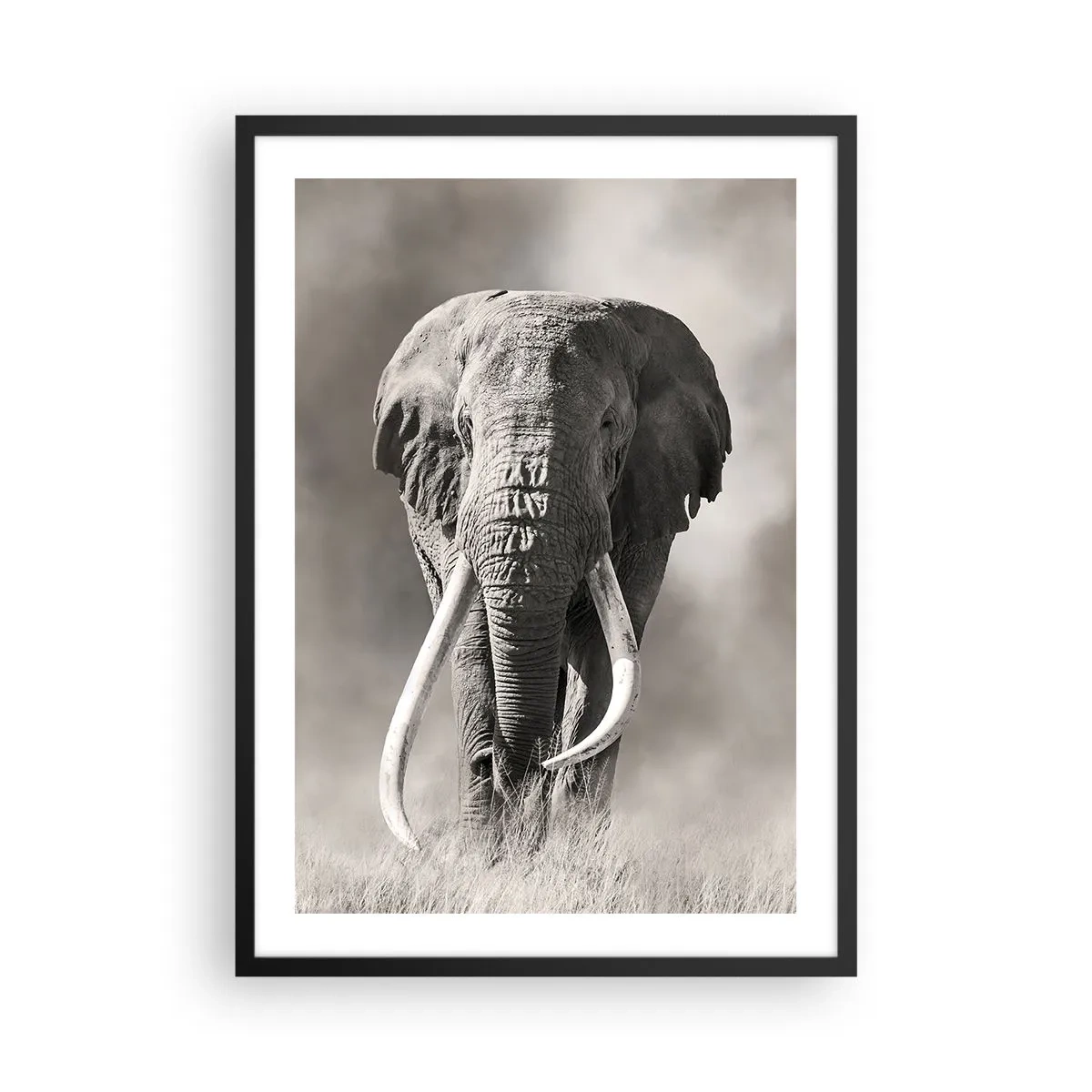 Poszter fehér keretben - Egy fenséges elefánt fekete-fehér portréja - 50x70cm - Afrikai patriarcha - Modern fali dekoráció nappalihoz és hálószobához ARTTOR